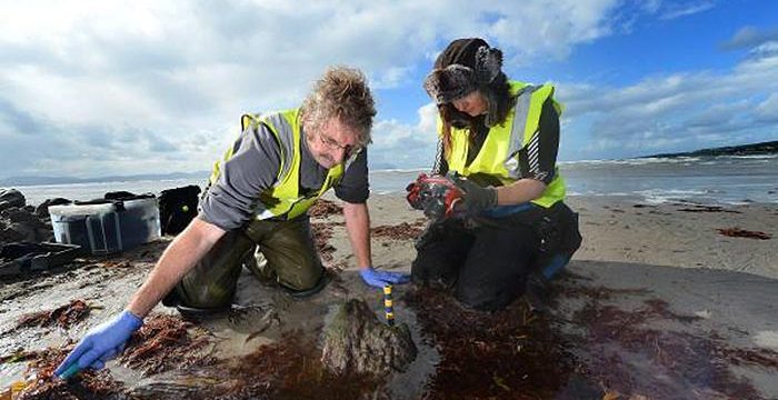 17th century shipwreck Kerry underwater archaeologists